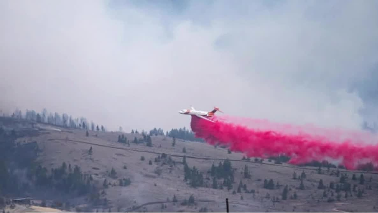 air retardant plane.png