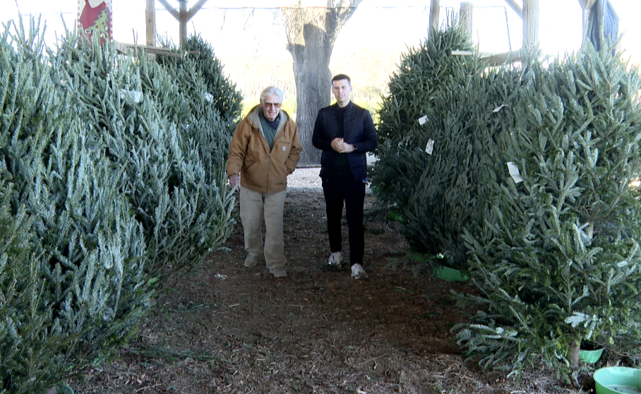 Owasso Christmas Tree Farm