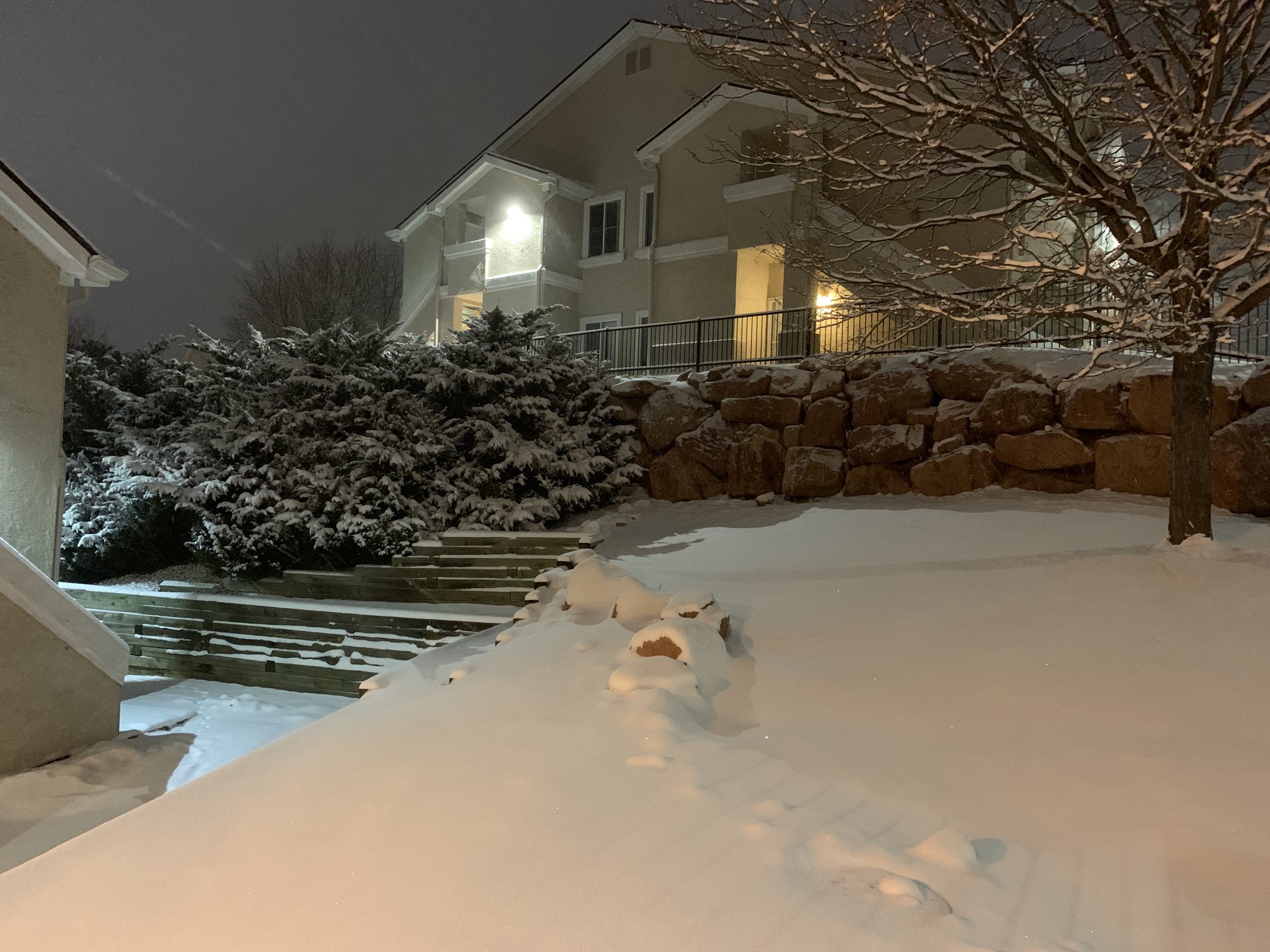 Snow Strawberry Field Grove