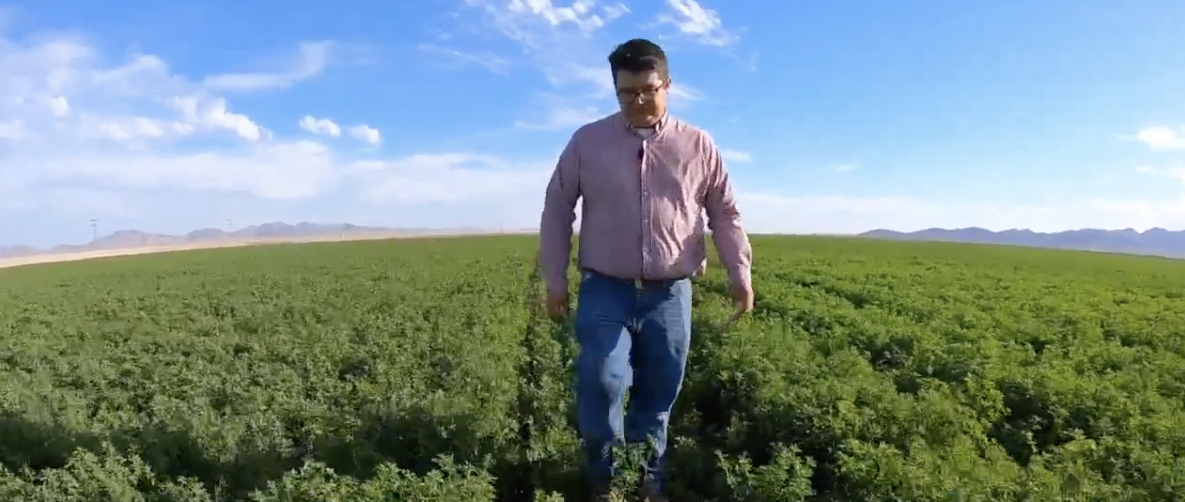 CRIT farms water parker arizona