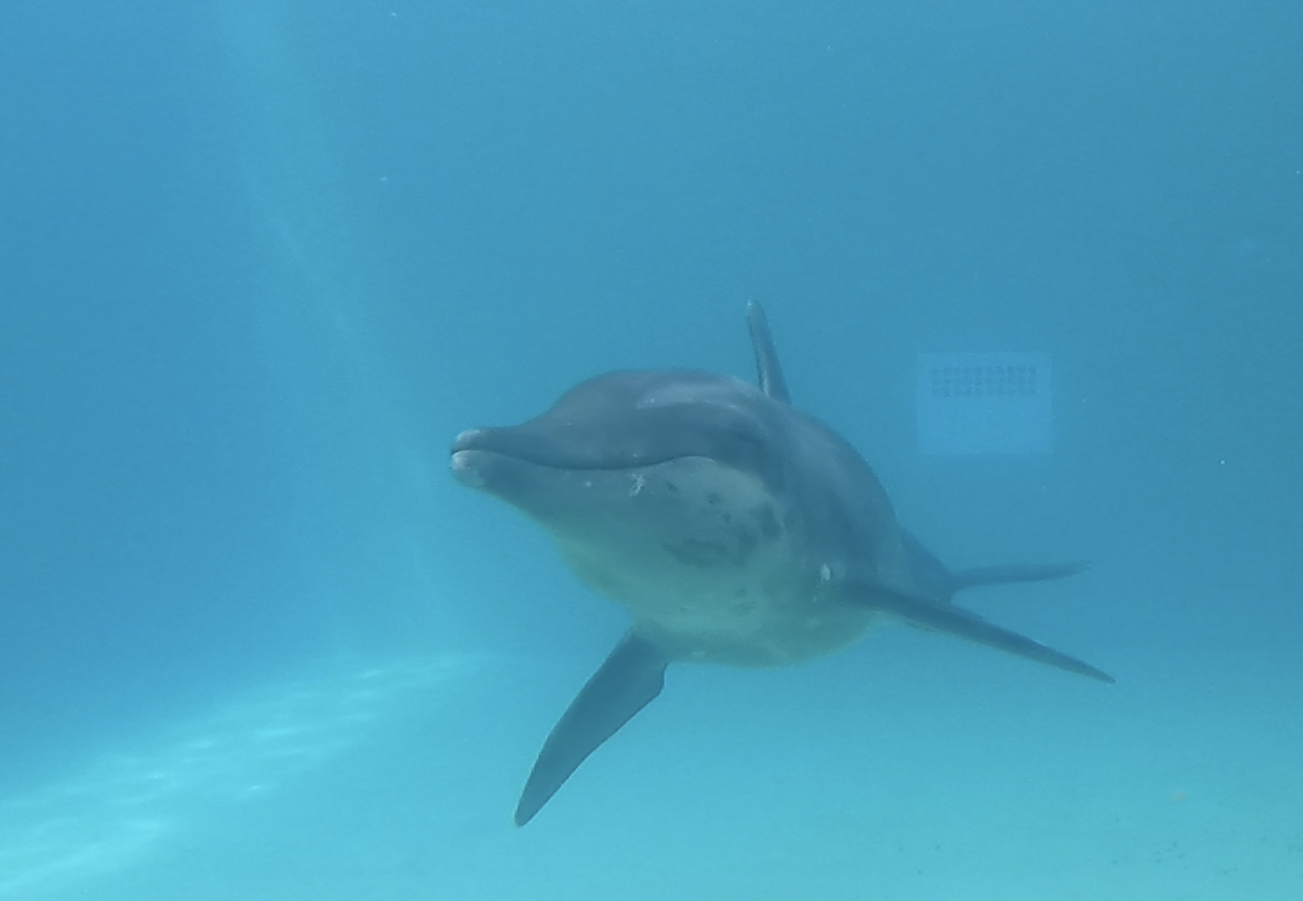 Image from iOS (15).png
