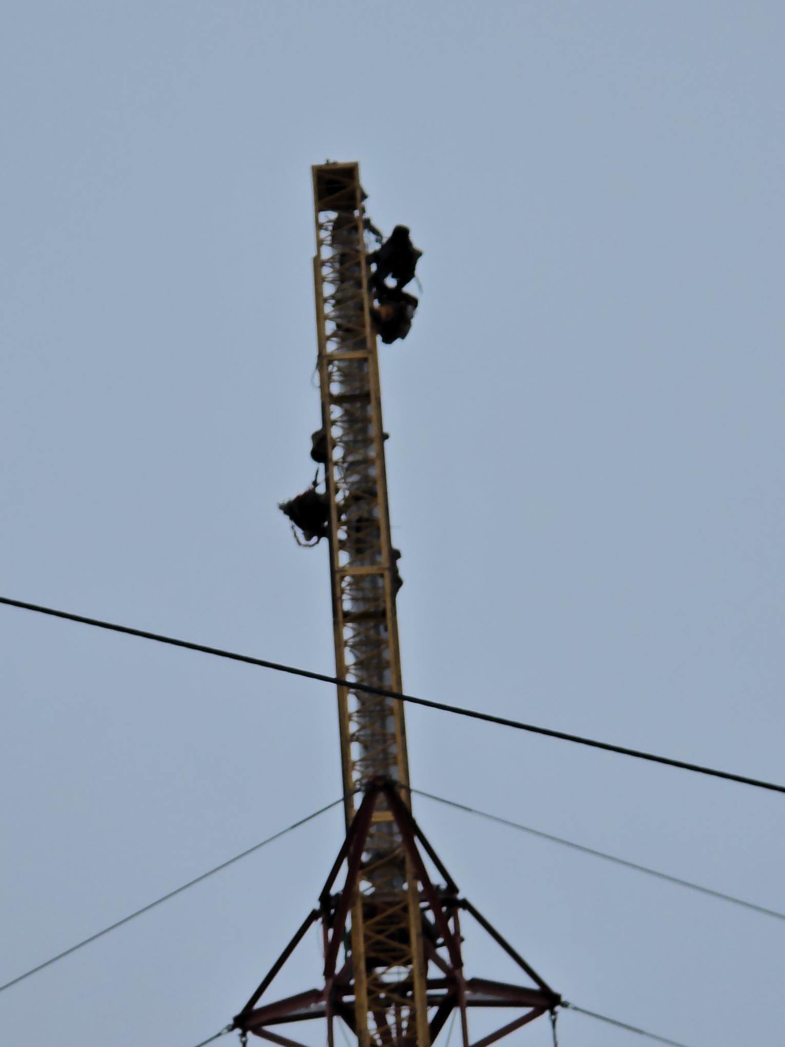 shared image (5).jpeg
