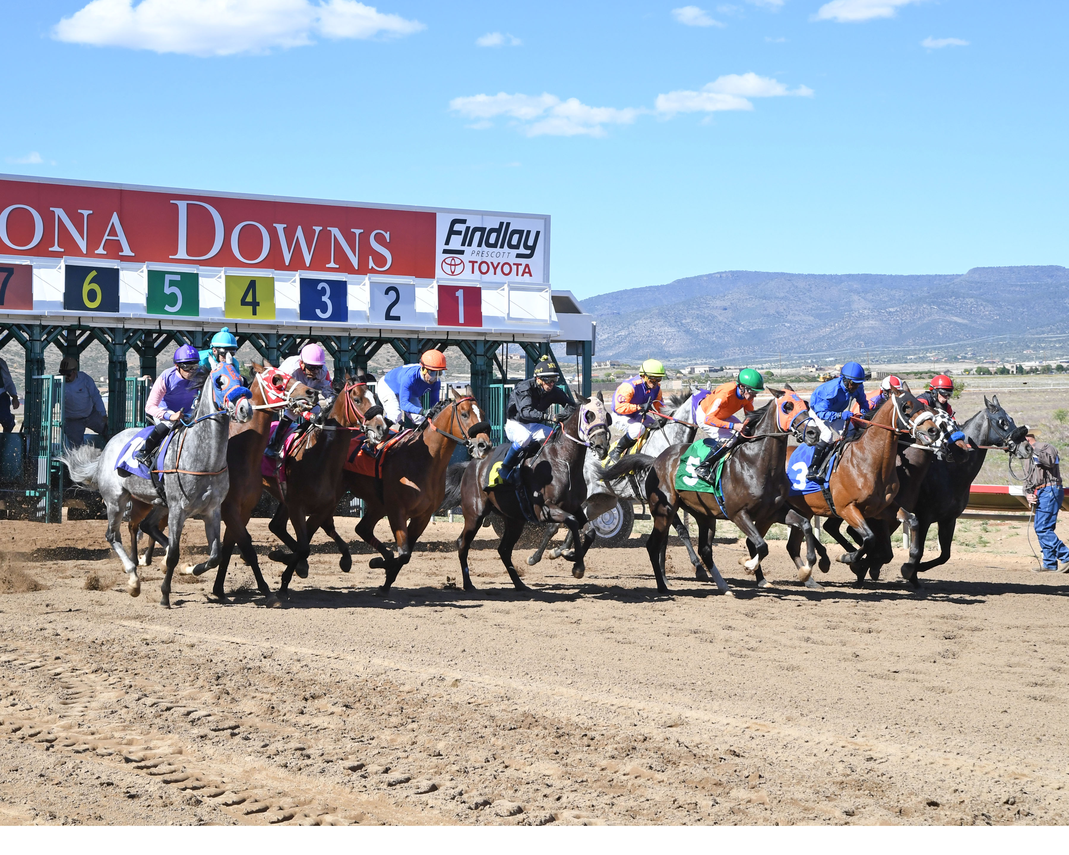 1st-stake-race-start-1-1.jpg