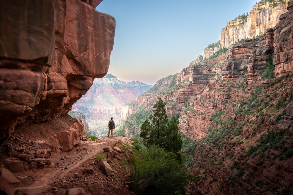 Hiker overlooks Grand Canyon