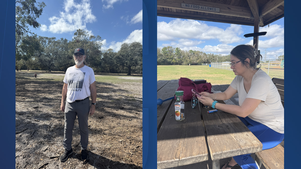 dog park trial witnesses.png