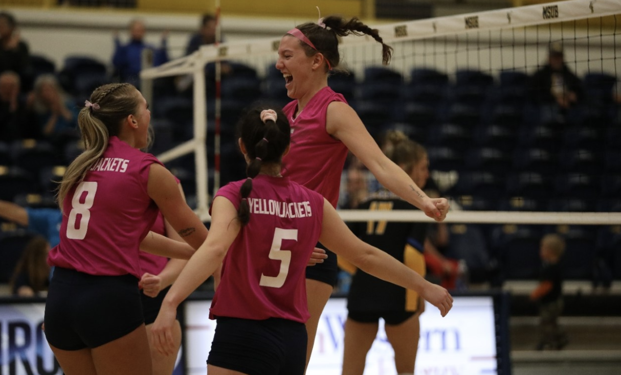 MSUB VB PINK.png