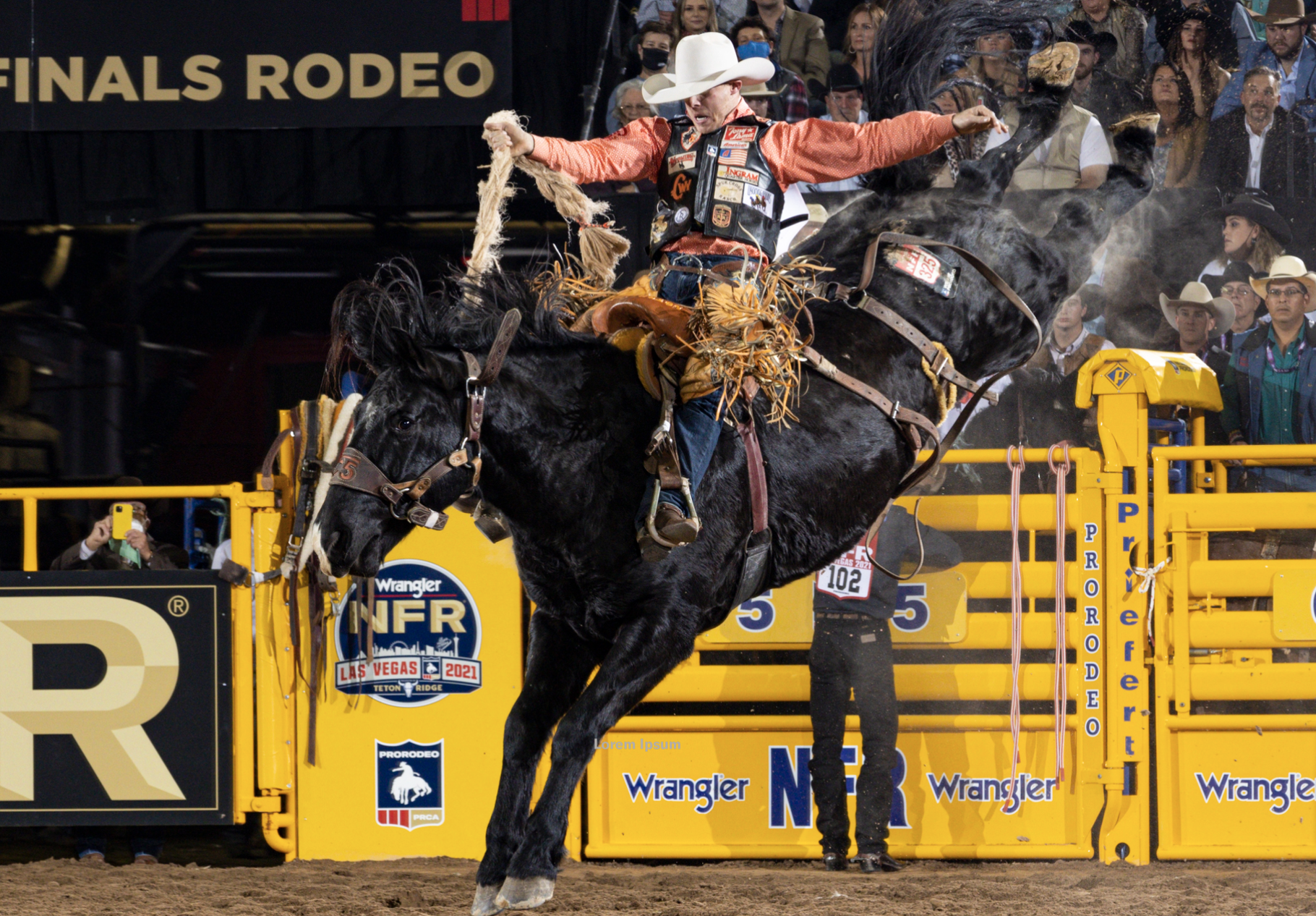 Cress 21 NFR Win.png