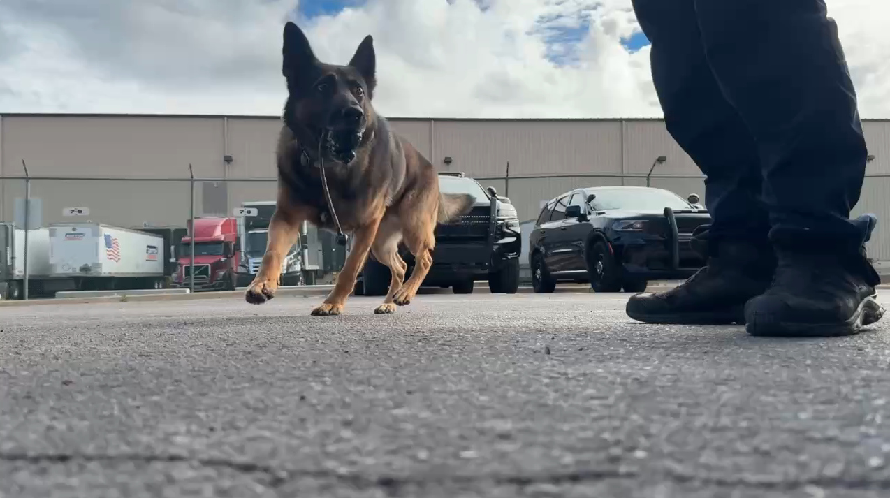 Screenshot 2025-10-15 at 4.59.58 PM.png