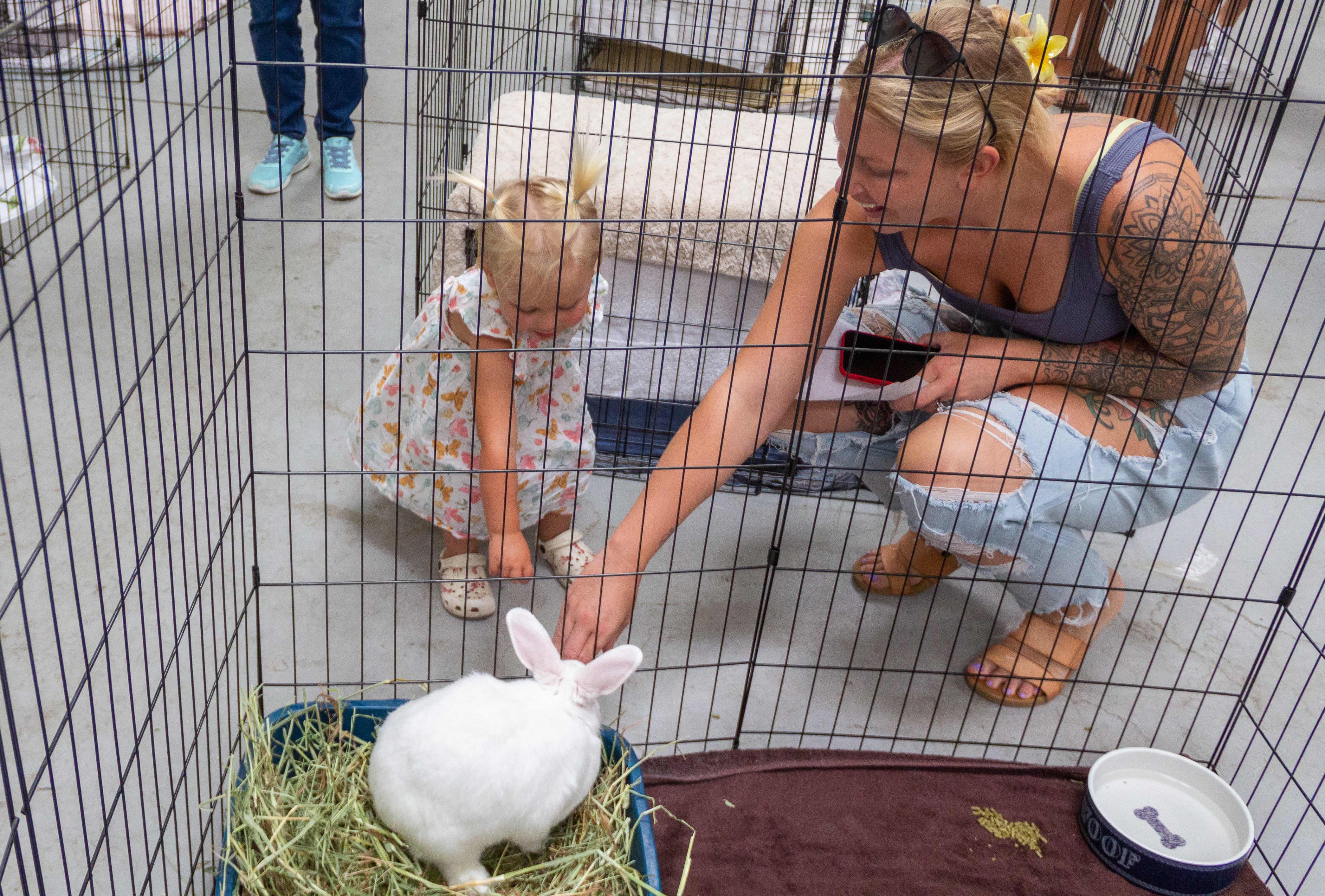 San Diego Humane Society 'Clear the Shelter' Day