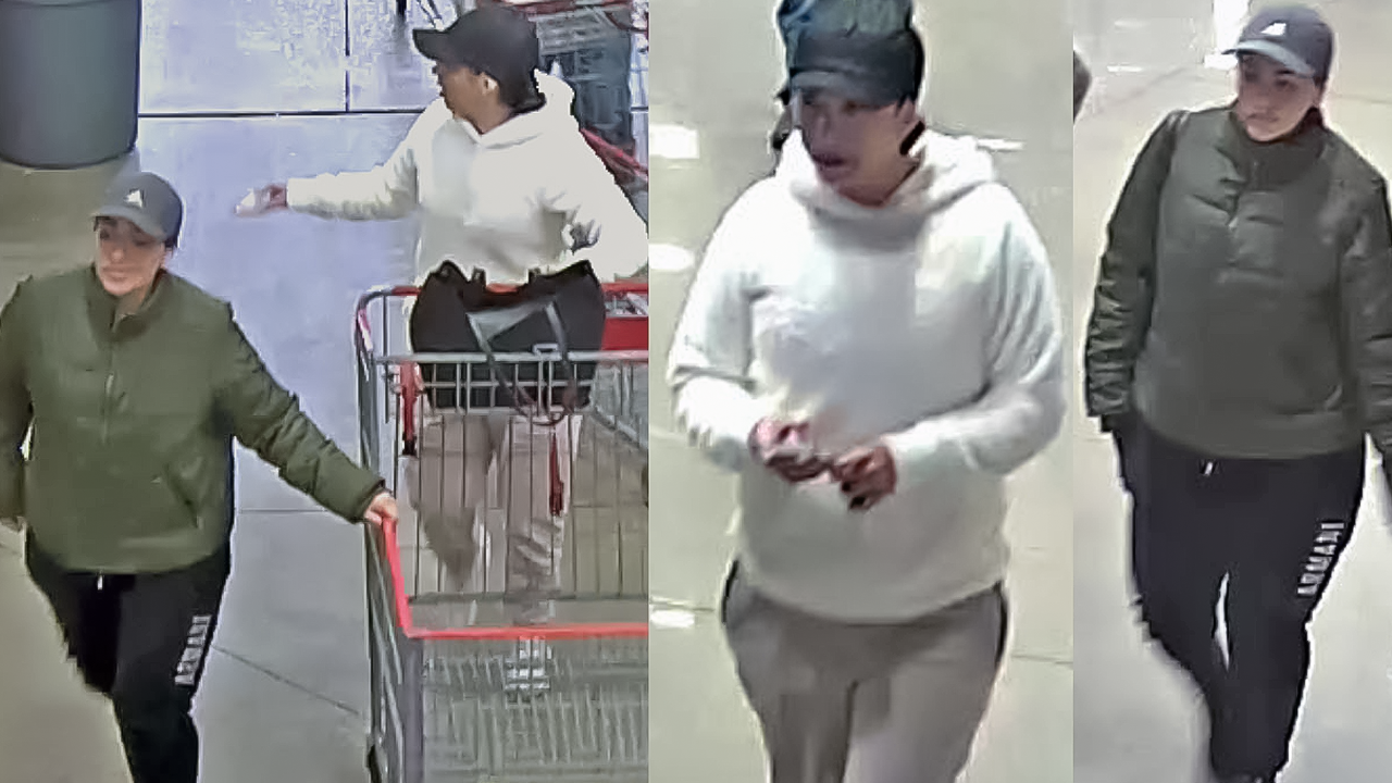 wallet thieves.png