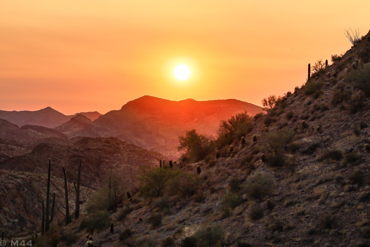 Desert generic.jpg