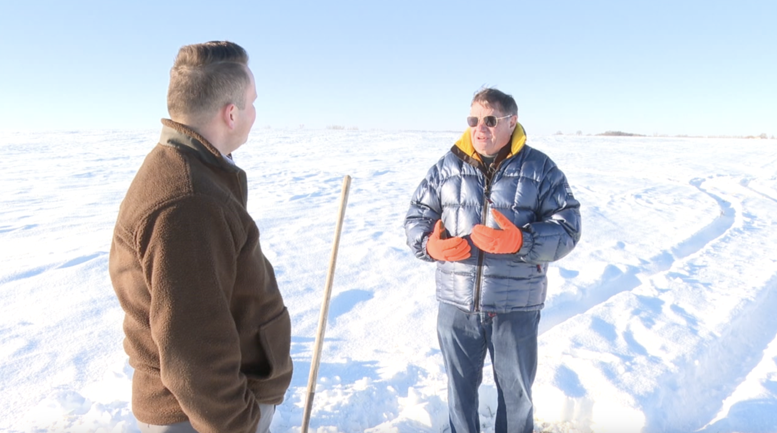 Winter Wheat Snow Benefits