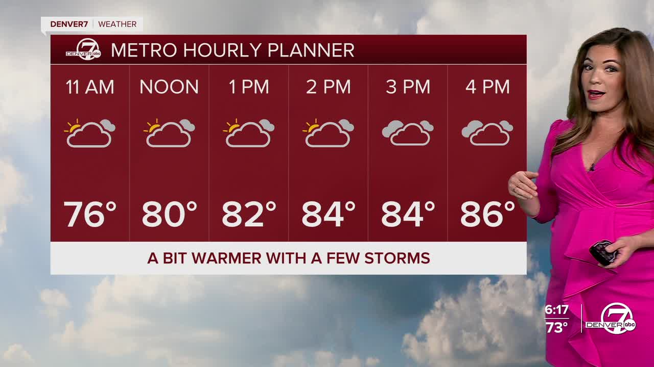 Denver's Hourly Planner for Thursday