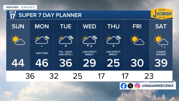 7 DAY FORECAST