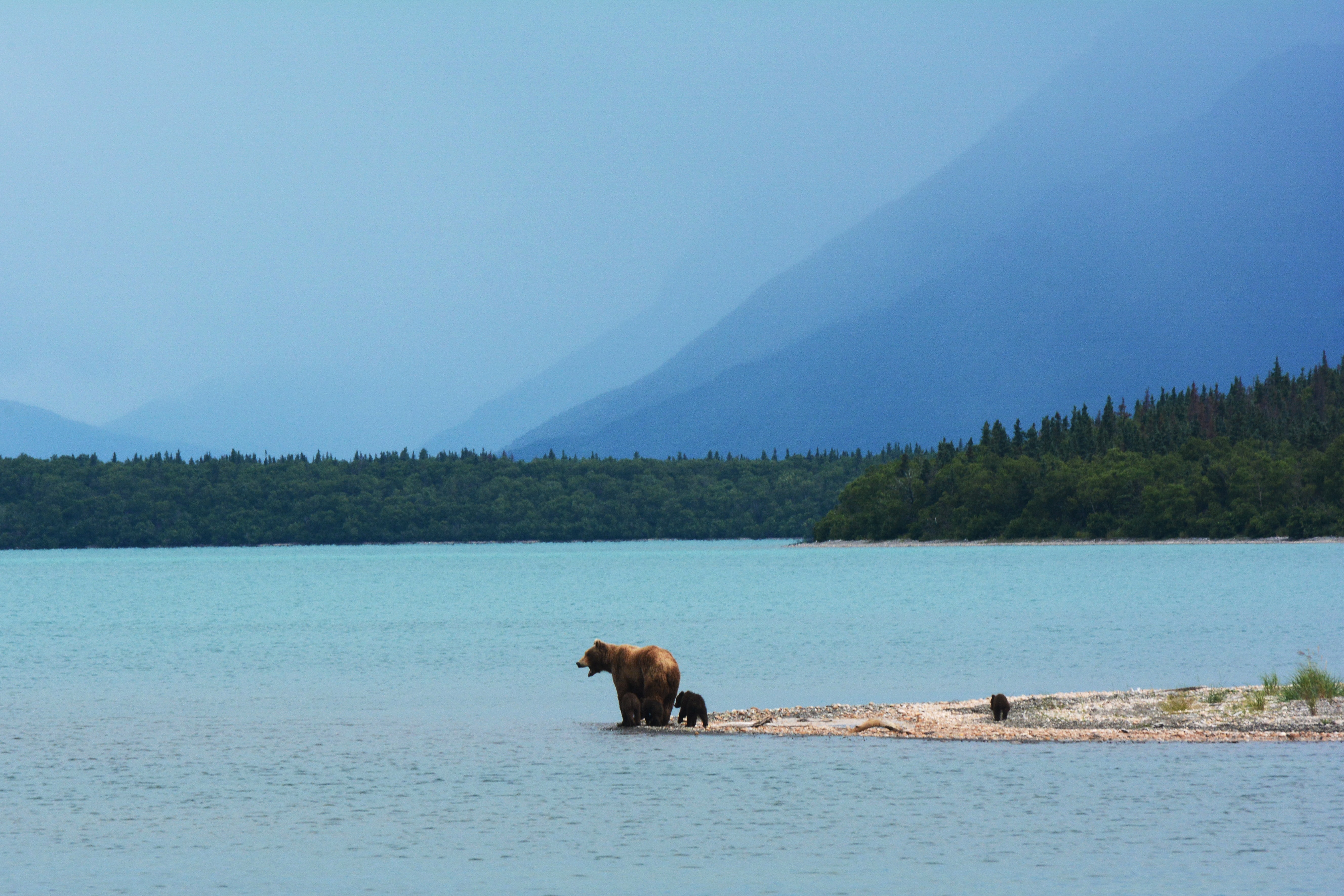 Dreaming of travel in 2021? Nat Geo releases ‘best of the world’ destination list