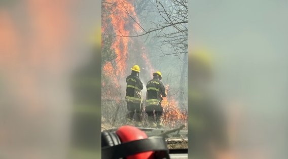 Scott County Fire Department gives fire safety tips