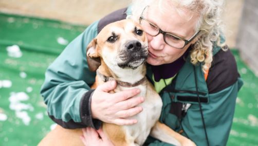 Humane Society of West Michigan file photo.JPG