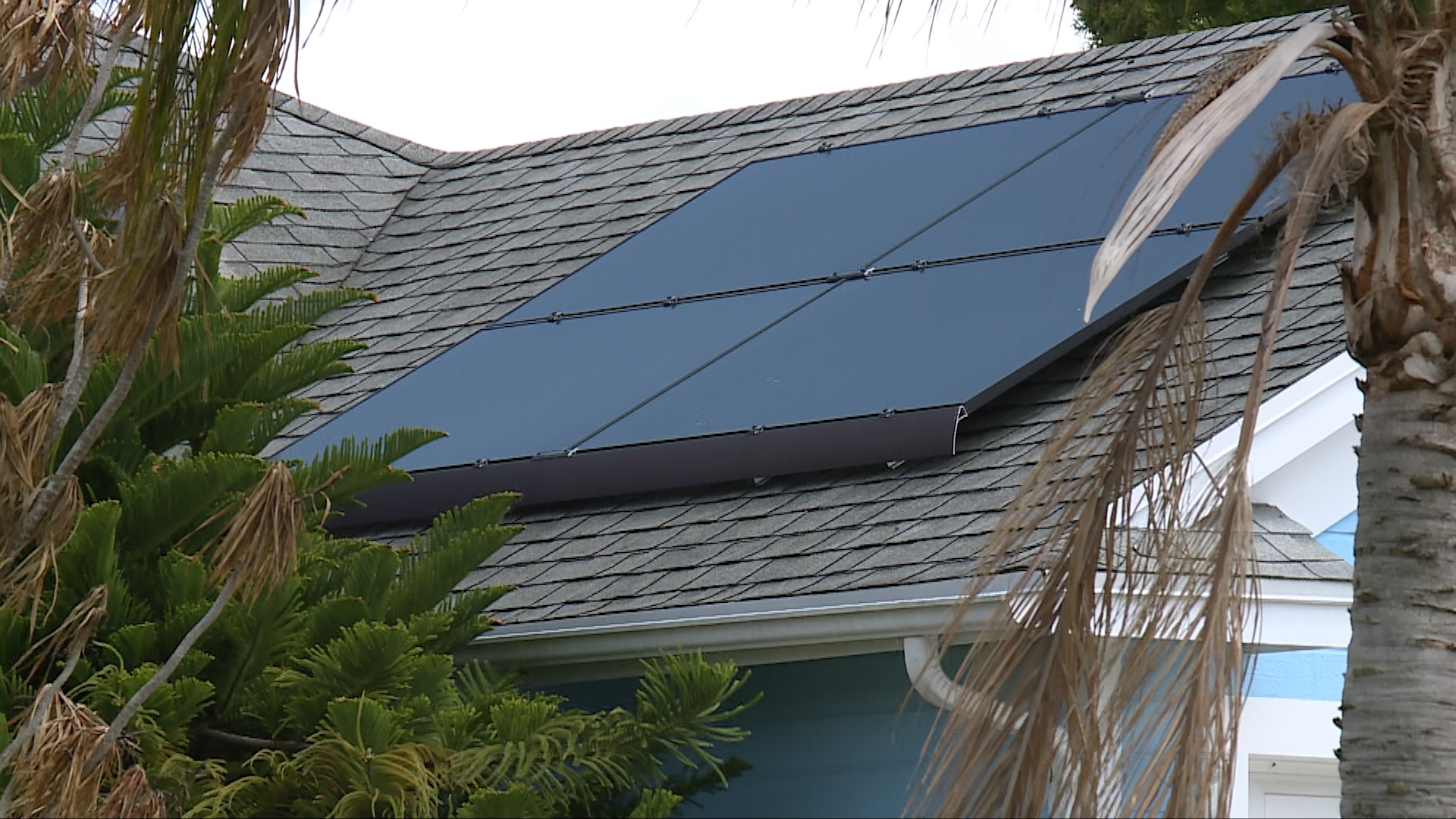 Solar Panel Company Woes