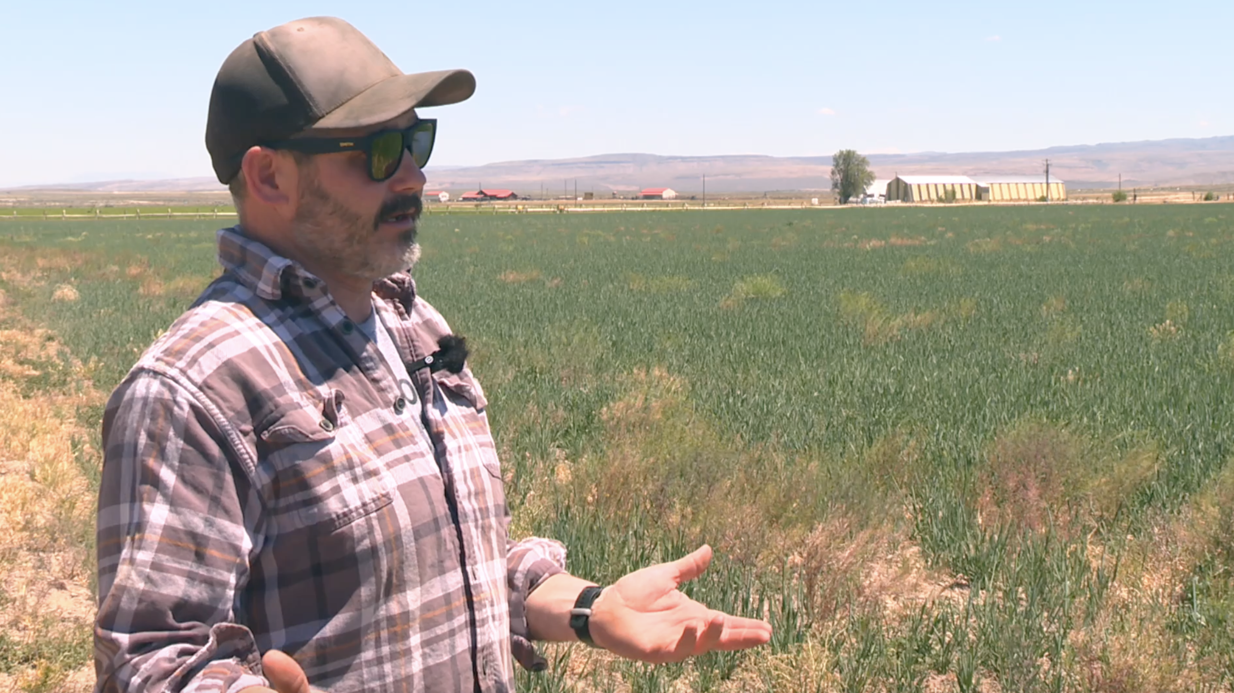 Everyone will feel the pain as drought hits Southern Idaho
