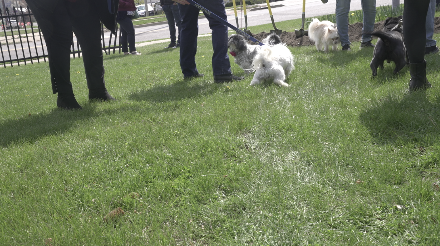 Betty's Dog Park