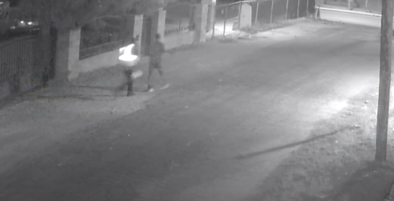Suspects in abandoned dog near dumpster 