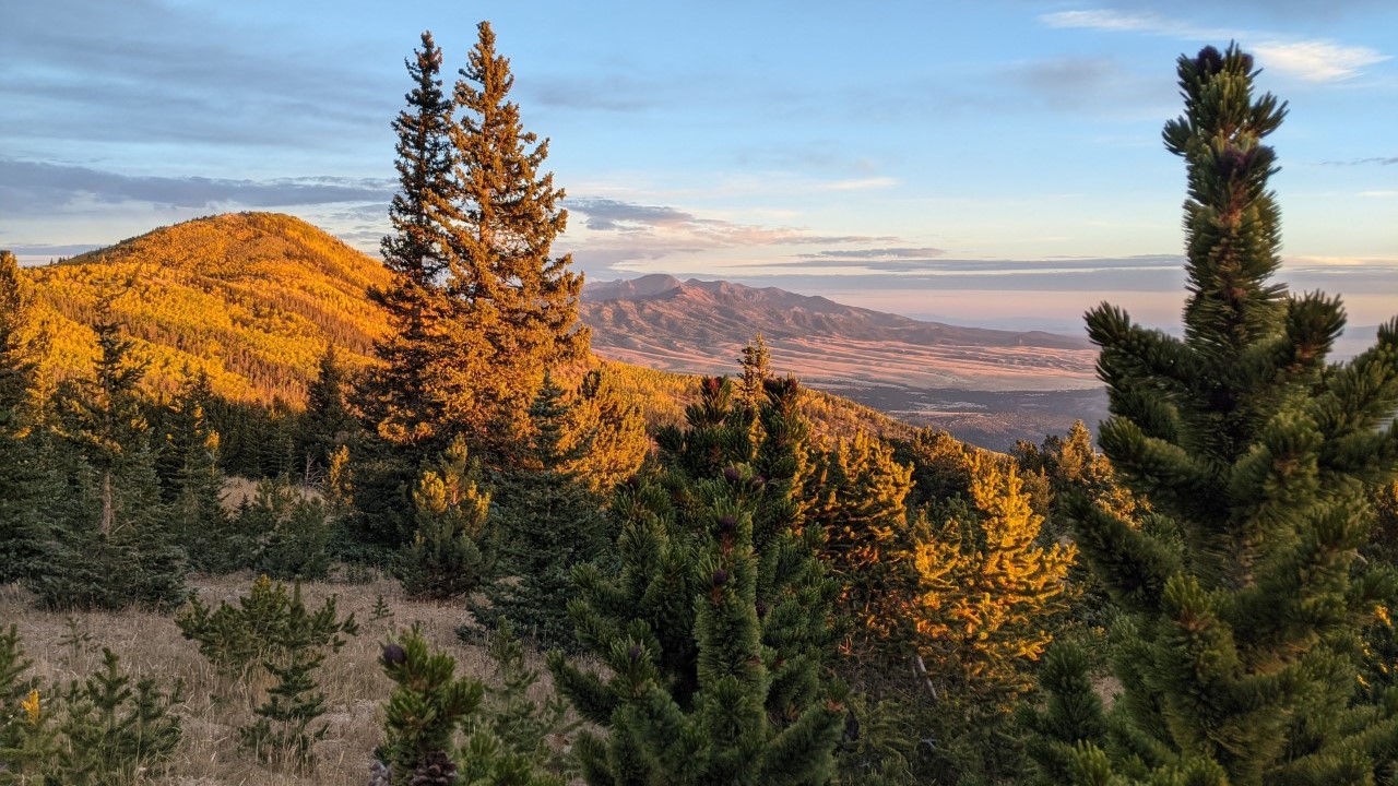 Huerfano County fall foliage