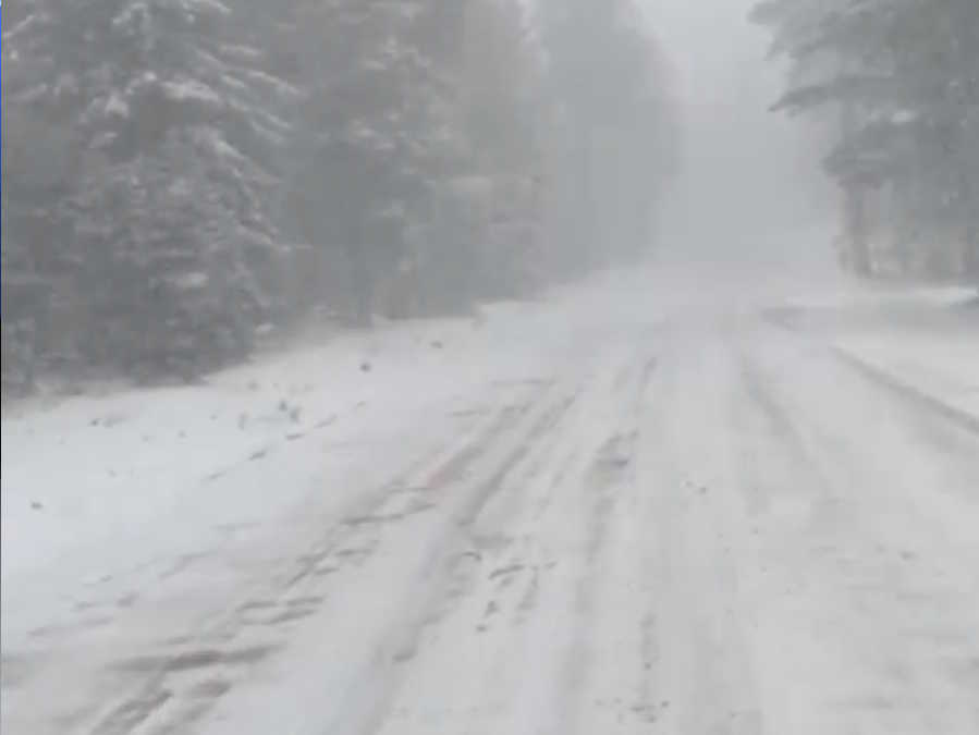 KNXV Rim Snow Monday 5-20-19.jpeg