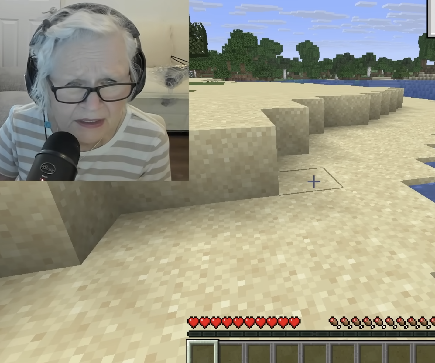 Minecraft grandma