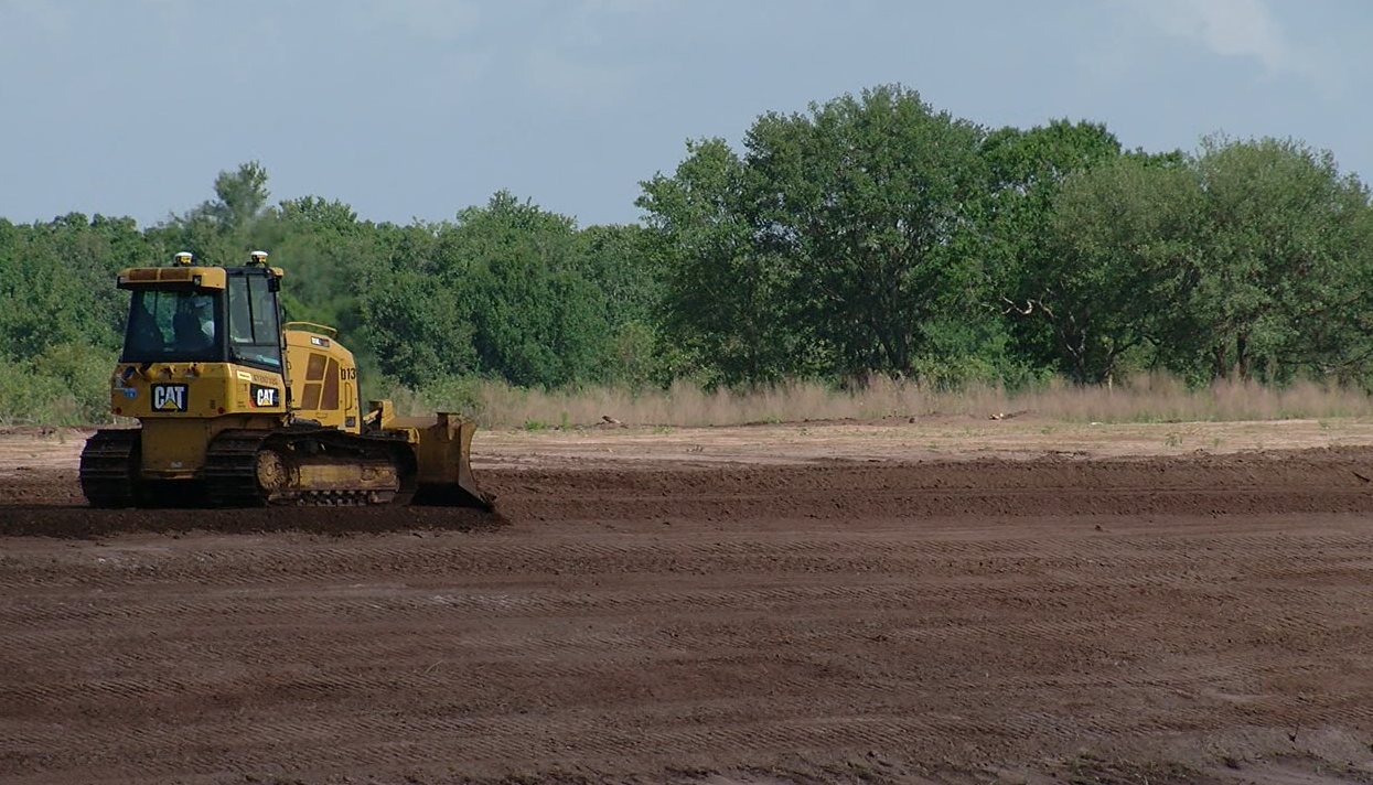 Wimauma Development