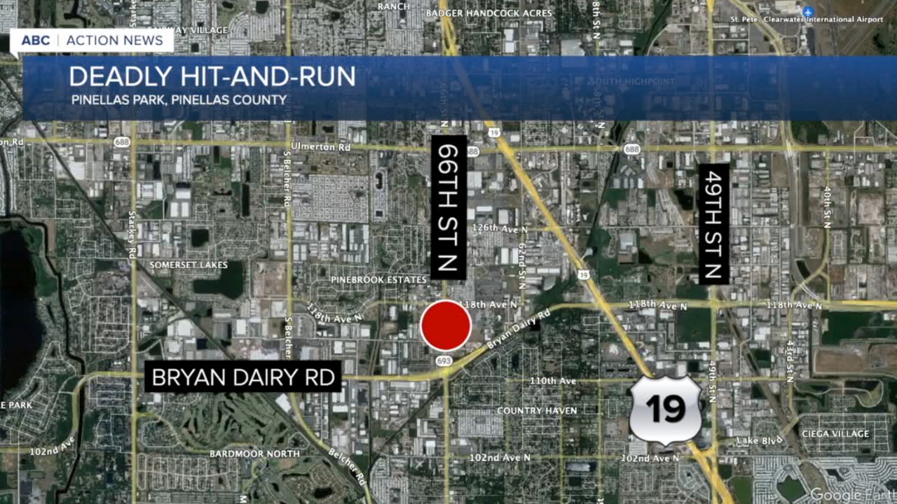 DEADLY HIT-AND-RUN