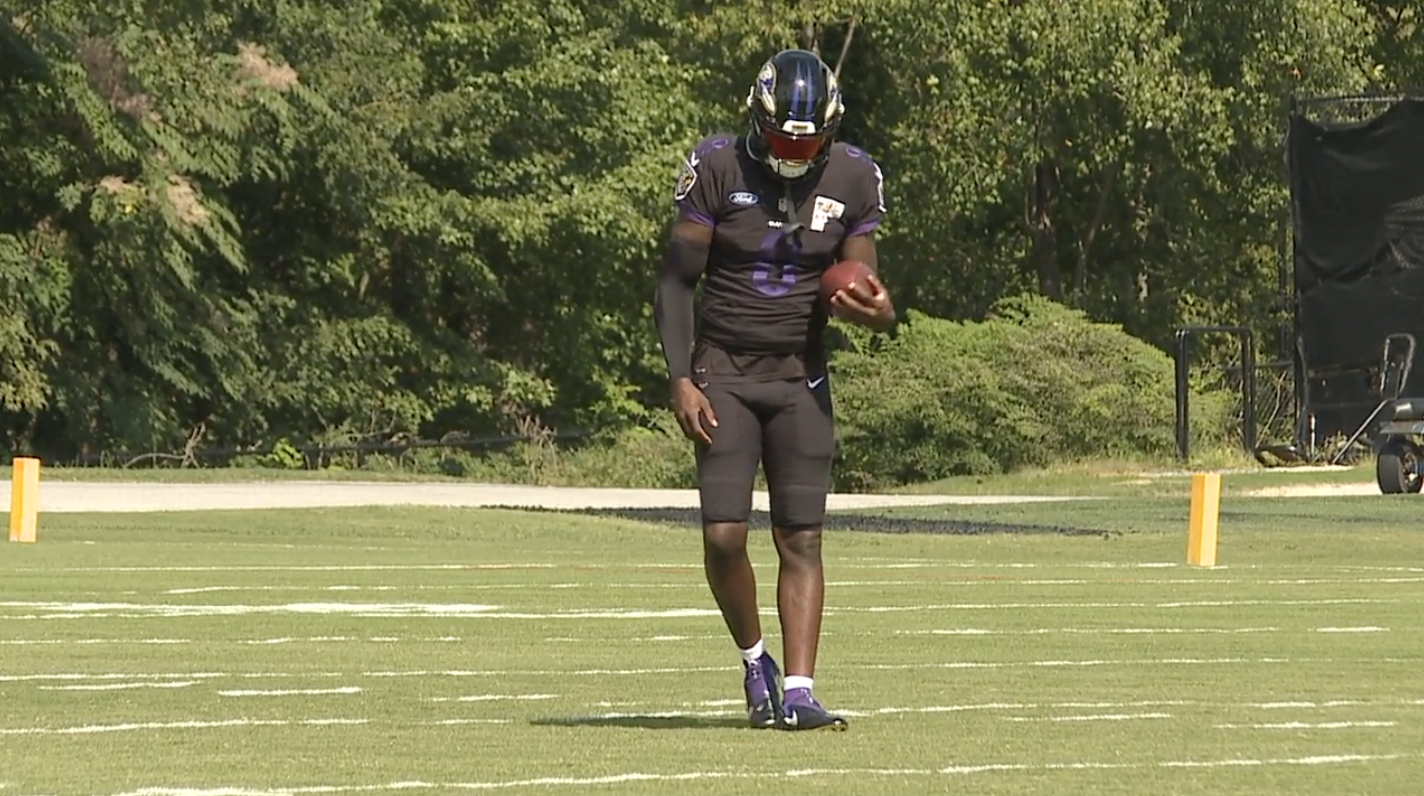 Lamar with Sleeve