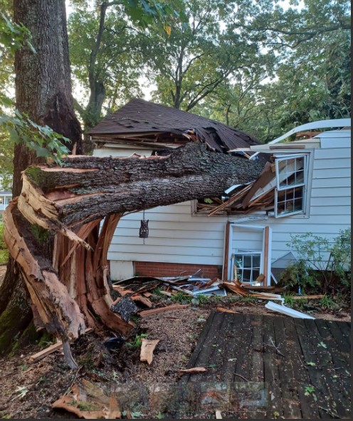 Homeowners in Newport News assess damage from storm