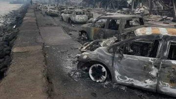 Maui Fire.jpg