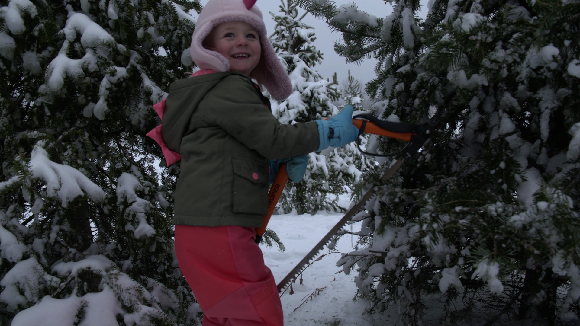 Christmas tree sales booming as Americans seek comfort and hope this holiday season - Vimarsana News
