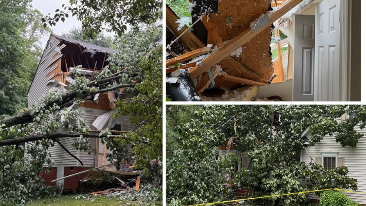Prince George storm damage June 23