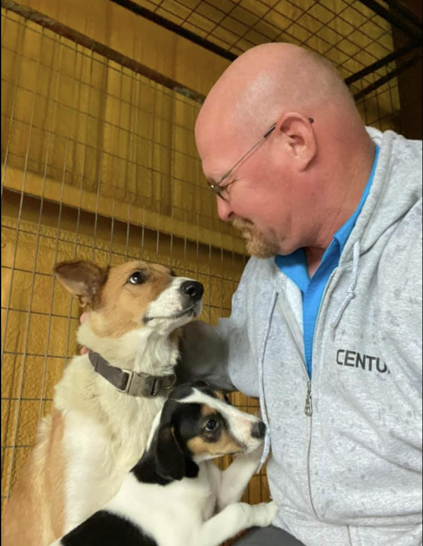 Animal control officer dedicates days off to find stray dogs a home - Vimarsana News