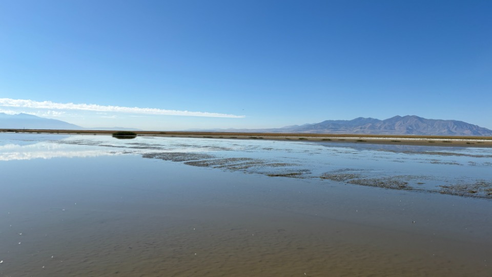 Farmington Bay at the Great Salt Lake.jpg
