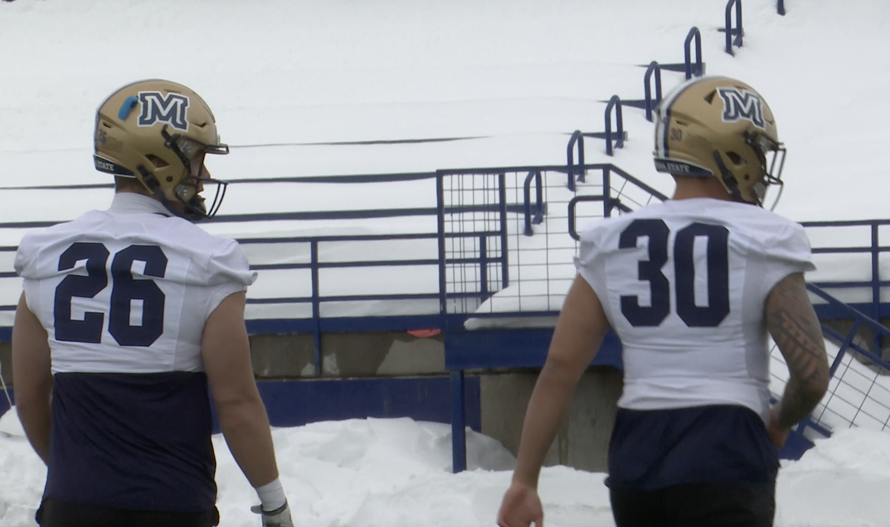 Montana State linebackers
