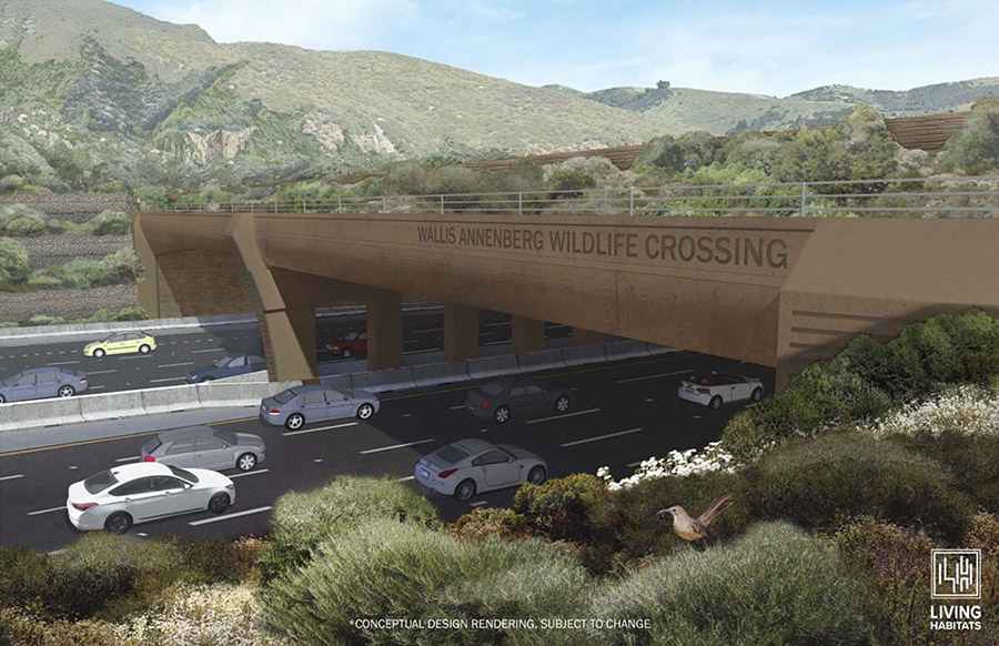 wildlife_overpass_rendering_la_cnn.jpg