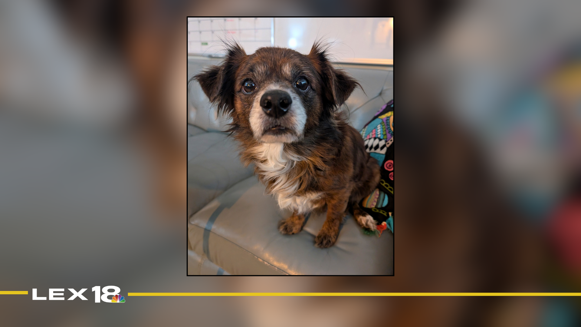 Featured Image Custom Edit (7).png