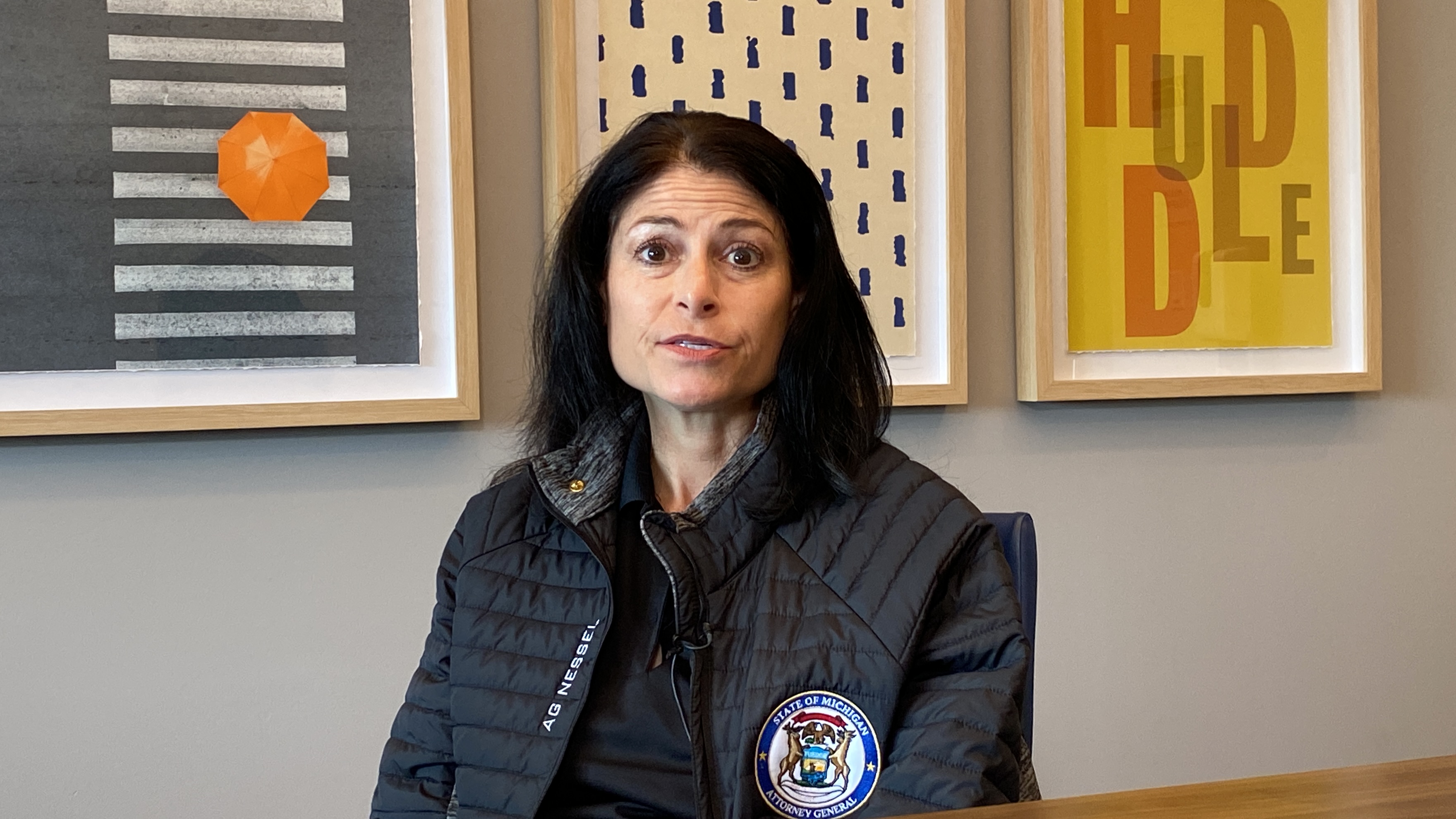 Michigan AG Dana Nessel.JPG