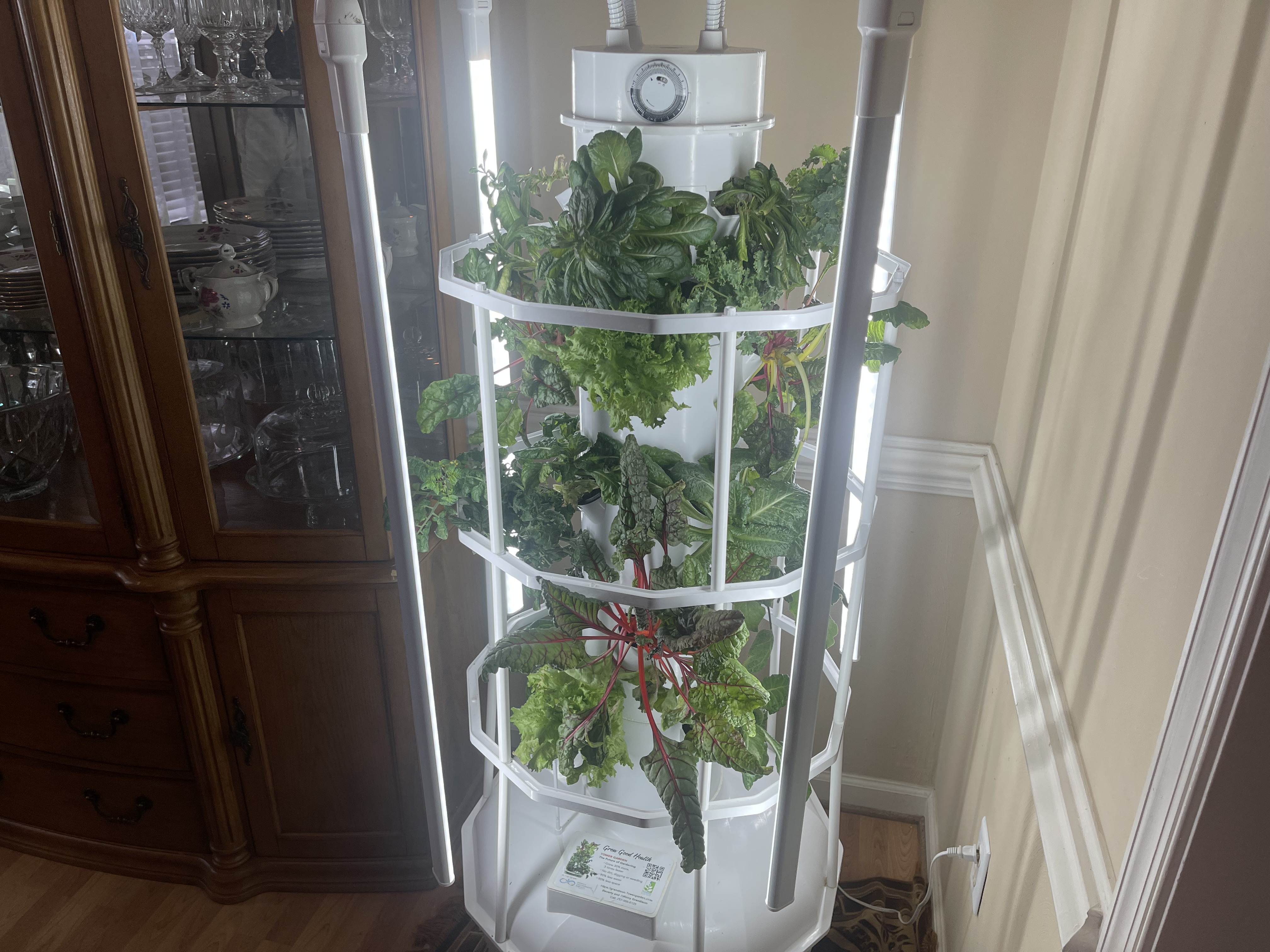 Tower Garden 