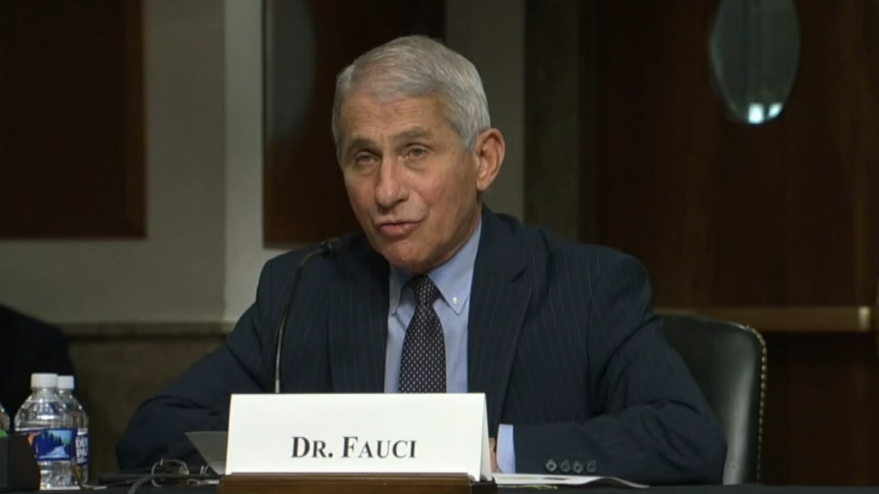wptv-dr-anthony-fauci.jpg