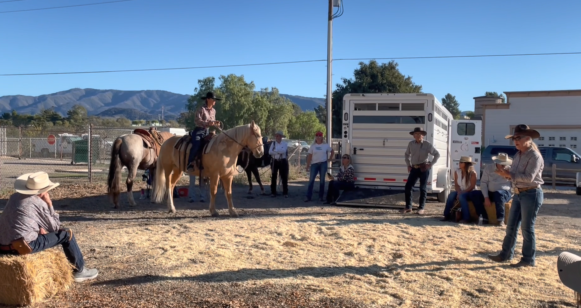 vaquero demonstration.png