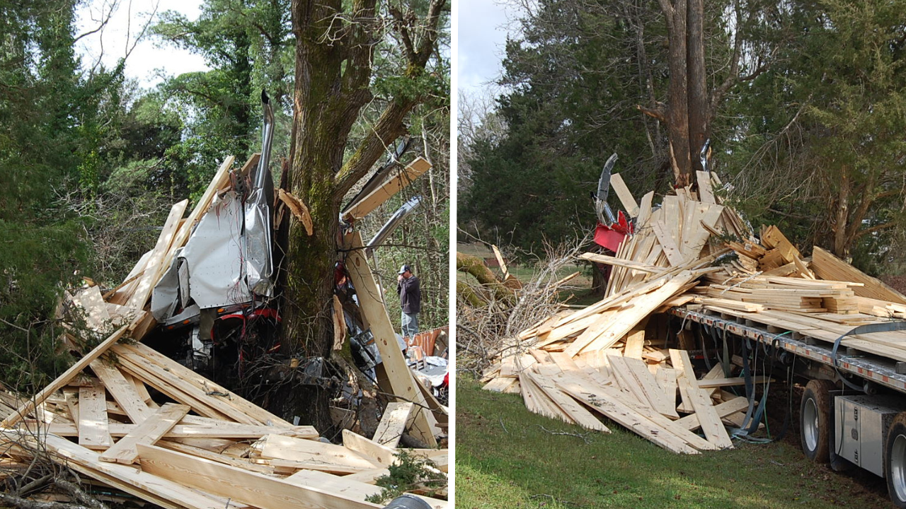 Driver killed after tractor-trailer fully loaded with lumber crashes into trees 