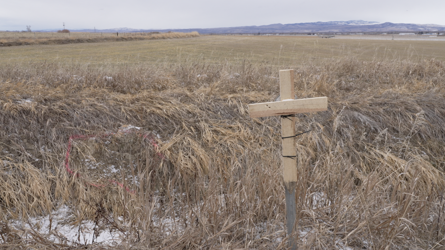 Screenshot 2024-12-26 at 2.36.38 PM.png