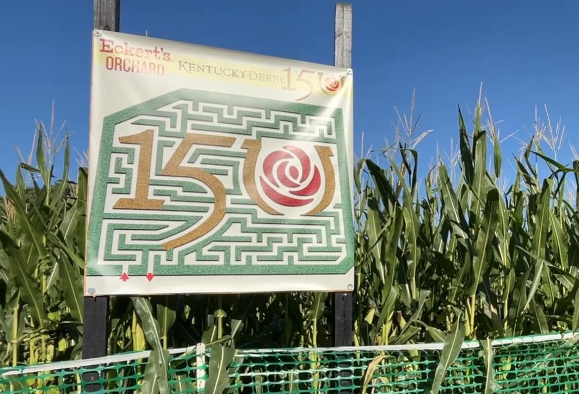 Corn Maze