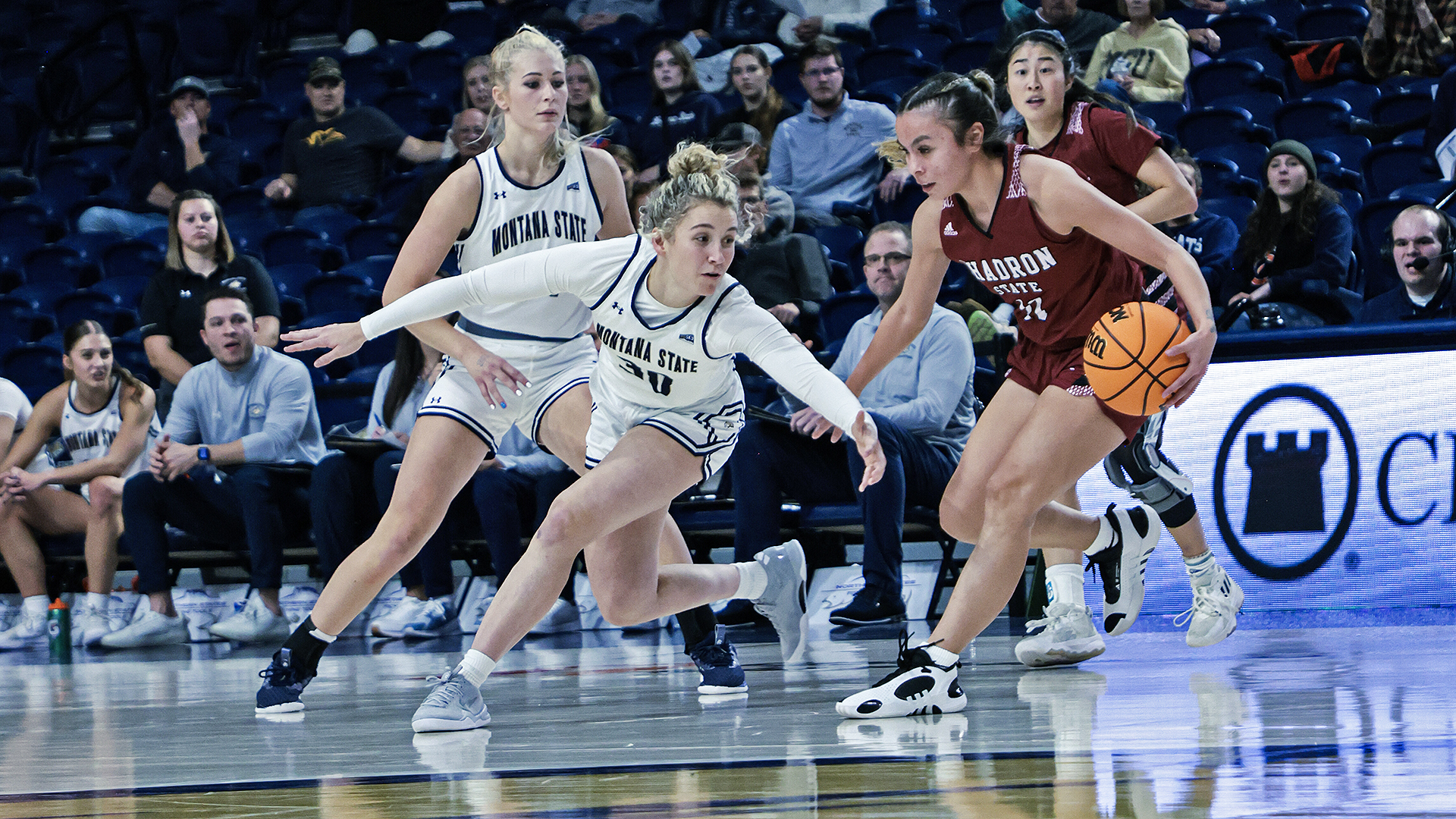 Montana State women's basketball