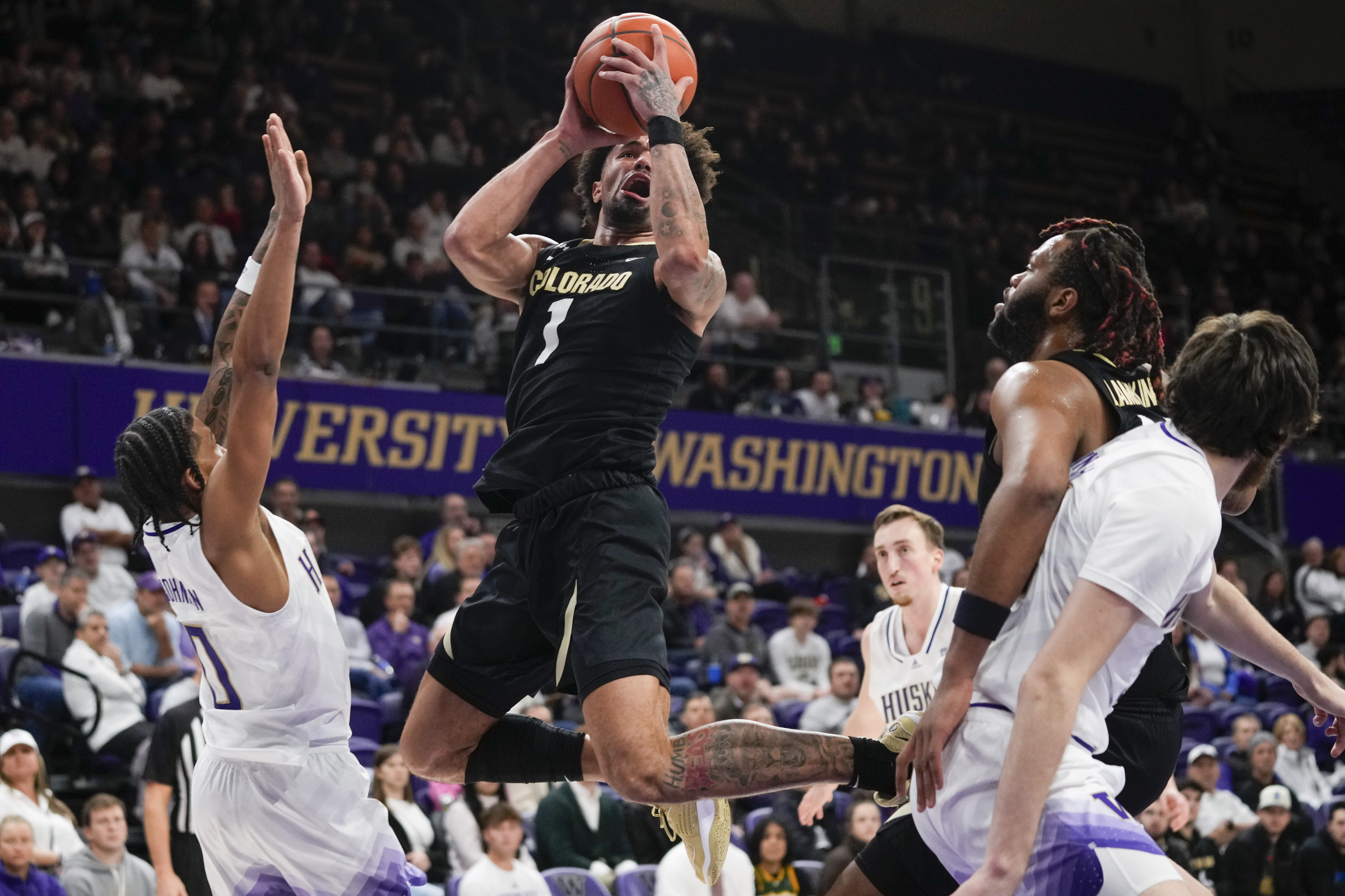 Colorado Washington Basketball