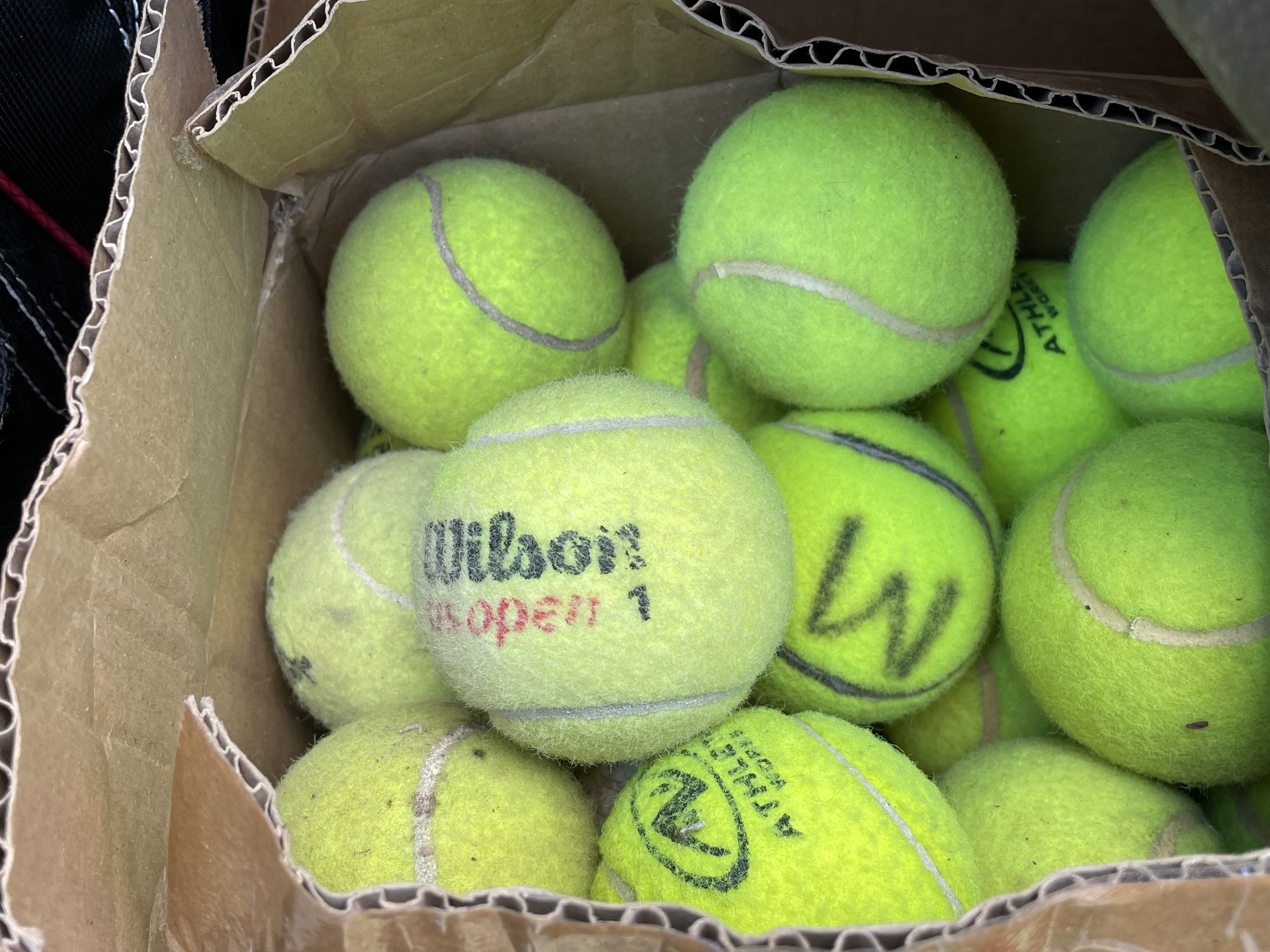 Tennis balls .jpg